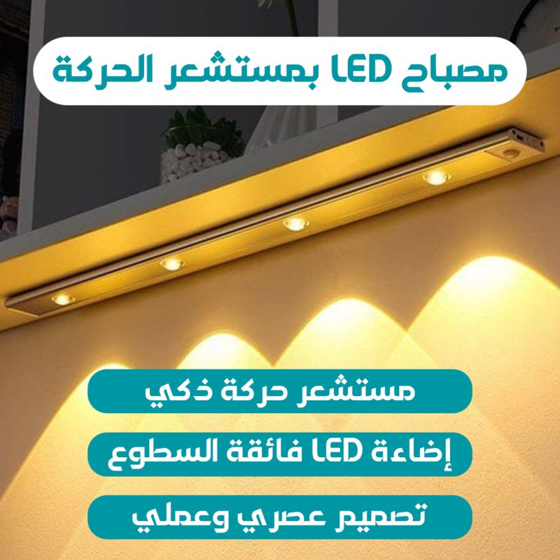 Rechargeable Magnetic LED Motion Sensor ( 50cm with 4 light )